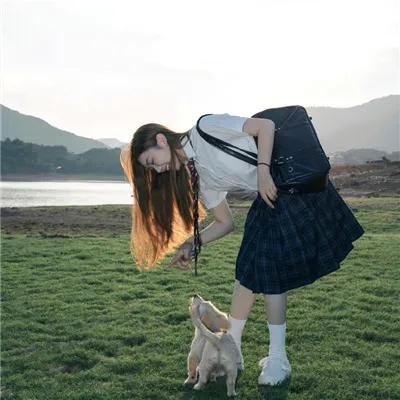 傅总您的金丝雀变凤凰了